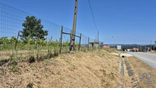 Annonce Vente Terrain Leiria