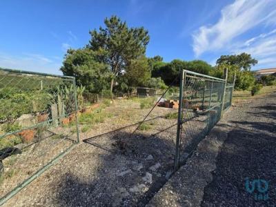 Annonce Vente Terrain Amoreiras