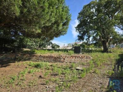 Acheter Terrain 3036 m2 Amoreiras