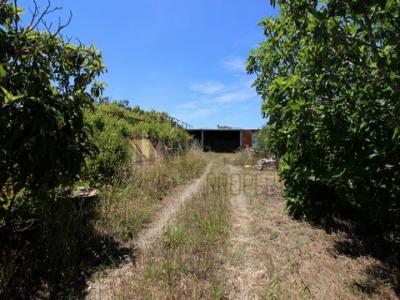 Acheter Terrain Lagos rgion FARO