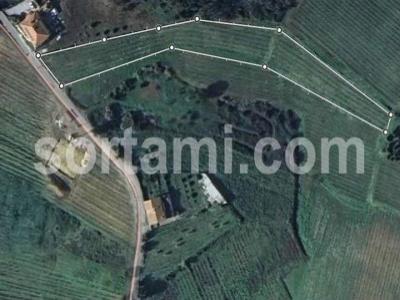 Annonce Vente Terrain Anadia