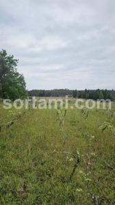Acheter Terrain Anadia