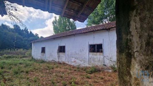 Acheter Maison 3294 m2 Batalha