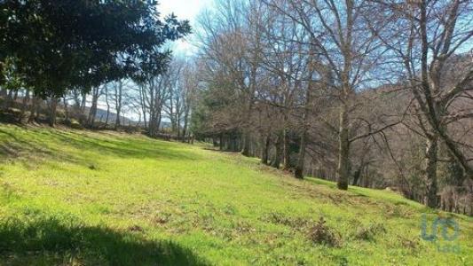 Acheter Terrain 1310 m2 Baiao