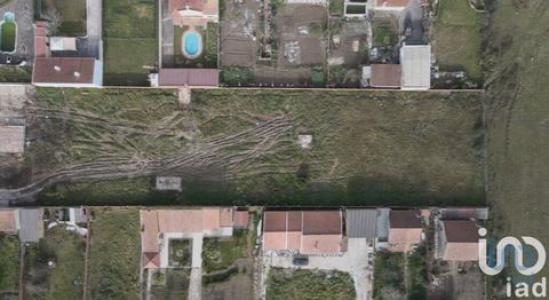 Acheter Terrain 4870 m2 Almargem-do-bispo