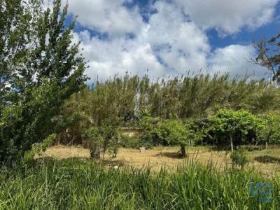 Annonce Vente Terrain Alcobaca