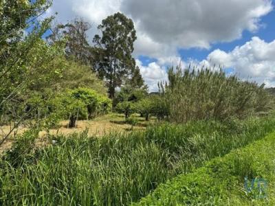 Acheter Terrain 1020 m2 Alcobaca