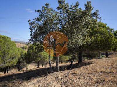 Acheter Terrain 32767 m2 Castro-marim