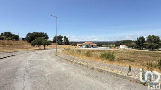 Acheter Terrain Abra rgion SANTAREM