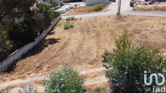 Annonce Vente Terrain Abra