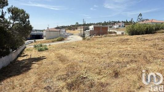 Acheter Terrain Abra rgion SANTAREM
