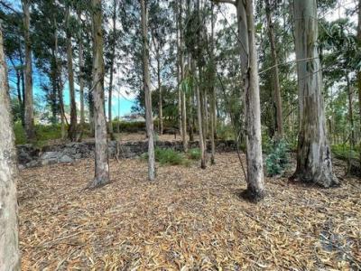 Acheter Terrain 10350 m2 Esposende