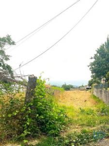 Annonce Vente Terrain Aldreu