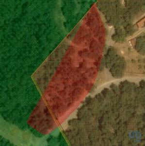 Annonce Vente Terrain Alcobaca