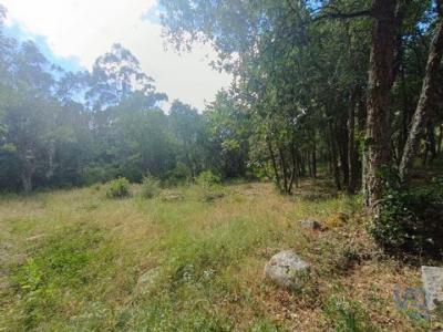 Acheter Terrain Alcobaca rgion LEIRIA