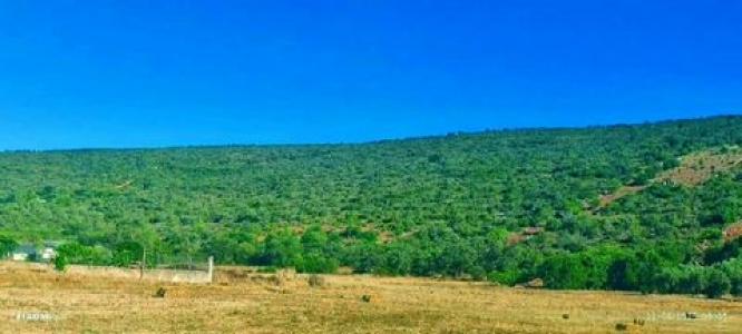 Annonce Vente Terrain Loule