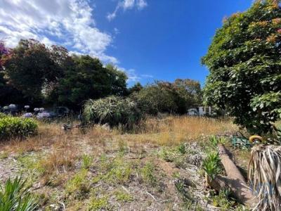 Vente Terrain Esposende ESPOSENDE,-MARINHAS-E-GANDRA 03 au Portugal