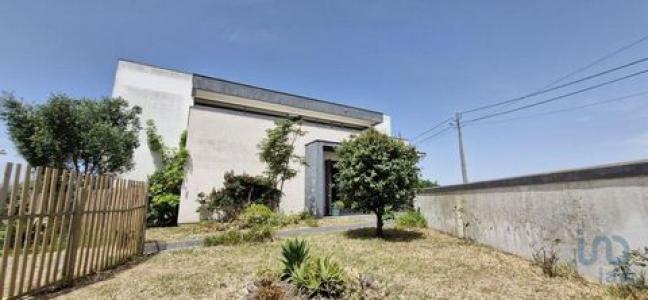 Acheter Local commercial 271 m2 Alcobaca
