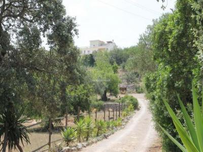 Acheter Maison 333 m2 Loule