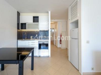 Acheter Appartement 43 m2 Loule