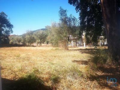 Annonce Vente Terrain Ansiao