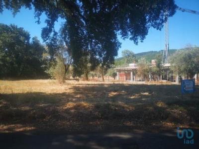 Acheter Terrain 1480 m2 Ansiao