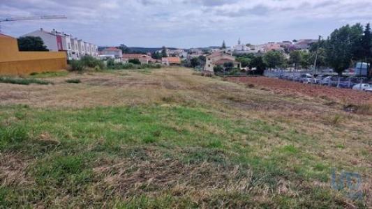 Acheter Terrain Cadaval rgion LISBOA