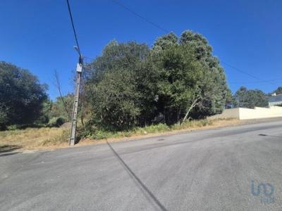 Vente Terrain Areal ARRIFANA 01 au Portugal