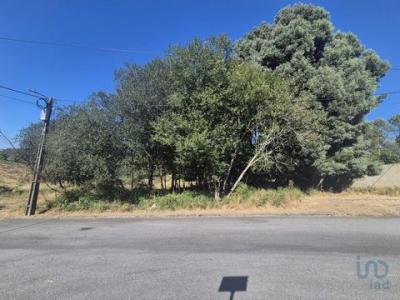 Acheter Terrain 289 m2 Areal