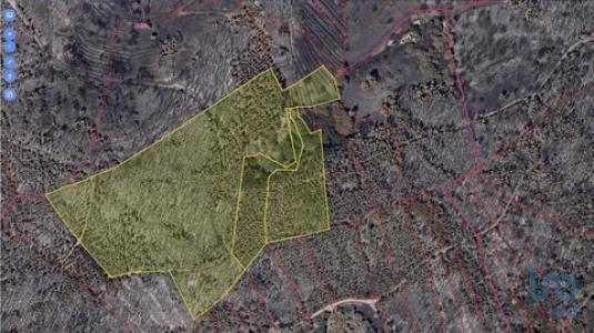 Annonce Vente Terrain Monchique