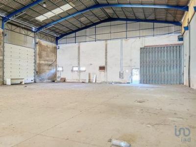 Acheter Local industriel 5732 m2 Agueda