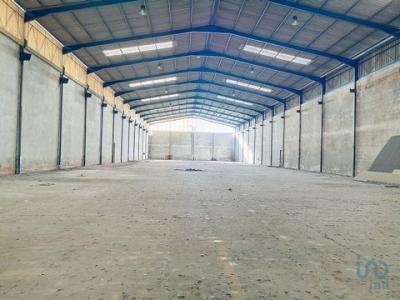 Acheter Local industriel Agueda rgion AVEIRO