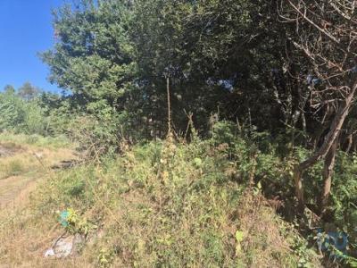 Annonce Vente Terrain Areal