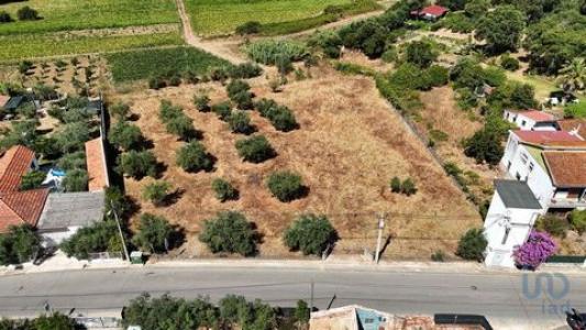 Annonce Vente Terrain Rio-maior