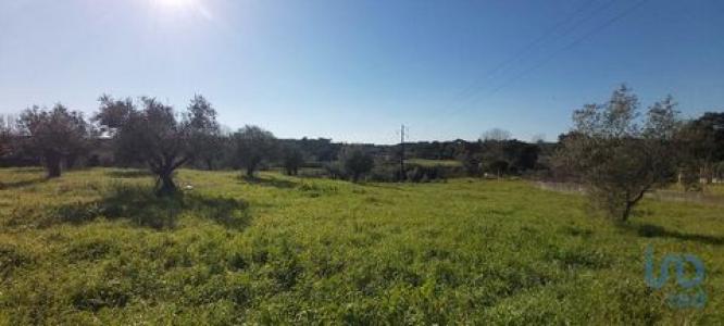 Acheter Terrain 427 m2 Rio-maior