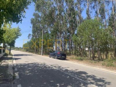 Vente Terrain Leiria MARRAZES-E-BAROSA 10 au Portugal
