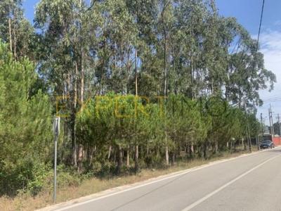 Annonce Vente Terrain Leiria