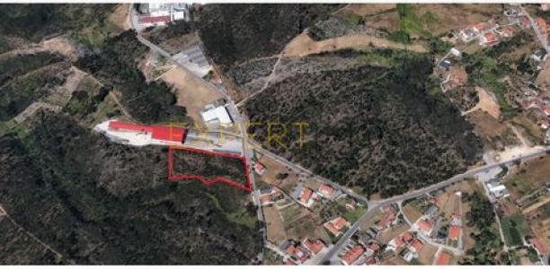 Acheter Terrain 7239 m2 Leiria