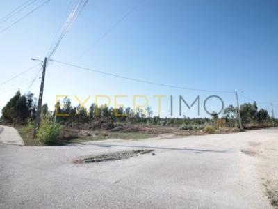 Vente Terrain Leiria MARRAZES-E-BAROSA 10 au Portugal