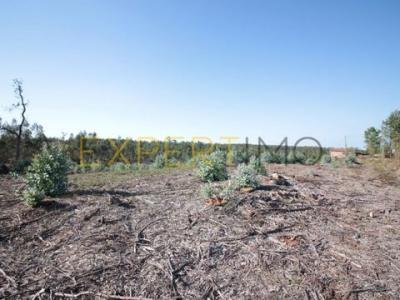 Acheter Terrain 32767 m2 Leiria