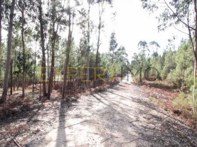 Acheter Terrain 1665 m2 Ourem