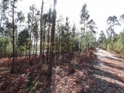 Acheter Terrain Ourem rgion SANTAREM