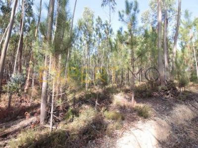 Acheter Terrain 1840 m2 Ourem