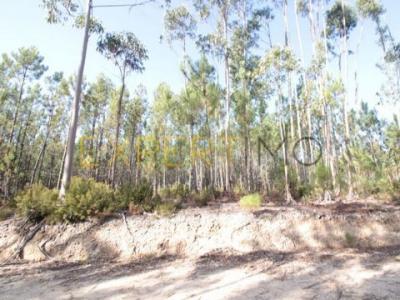Acheter Terrain Ourem rgion SANTAREM