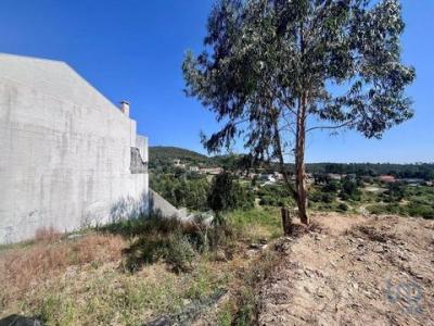 Acheter Terrain 294 m2 Fanzeres