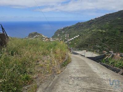 Acheter Terrain 561 m2 Ribeira-brava