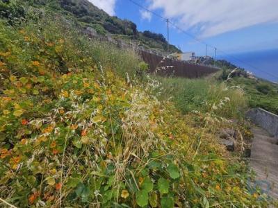 Acheter Terrain Ribeira-brava rgion MADEIRA