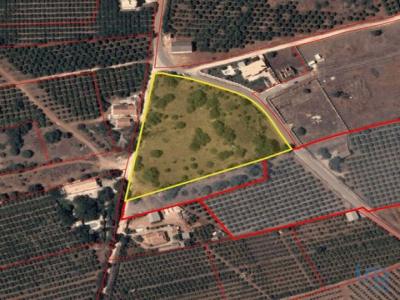 Vente Terrain Silves SILVES 08 au Portugal