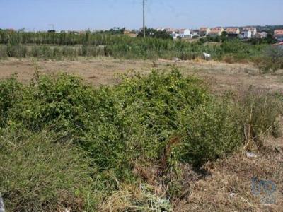 Acheter Terrain 4160 m2 Torres-vedras