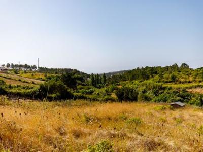 Annonce Vente Terrain Mafra